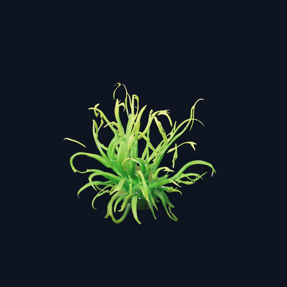 Vibrant Green Sea Anemone model pack